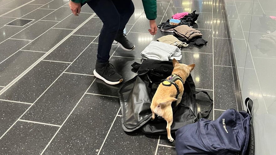 Kofferabsuche am Flughafen